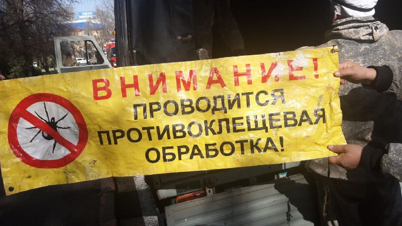 противоклещевая обработка противоклещевая обработка