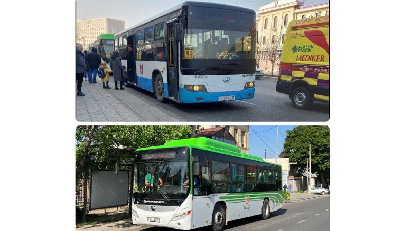 автобусы