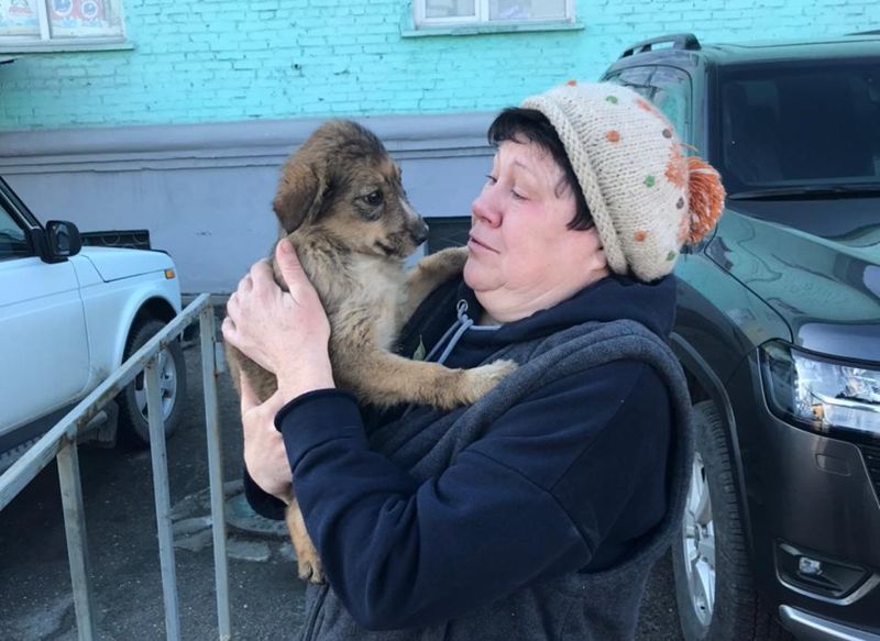 В Усть-Каменогорске спасатели извлекли щенка, застрявшего между контейнерами