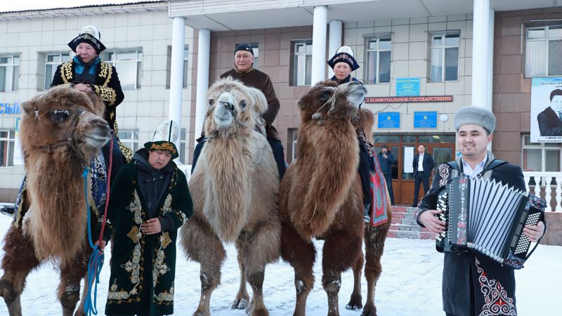 На избирательный участок в Талдыкоргане семья приехала на верблюдах