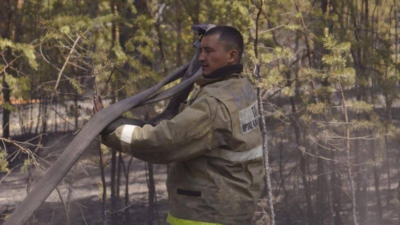 Настоящие герои: в МЧС опубликовали фотографии пожарных из Абайской области, фото - Новости Zakon.kz от 14.06.2023 14:32