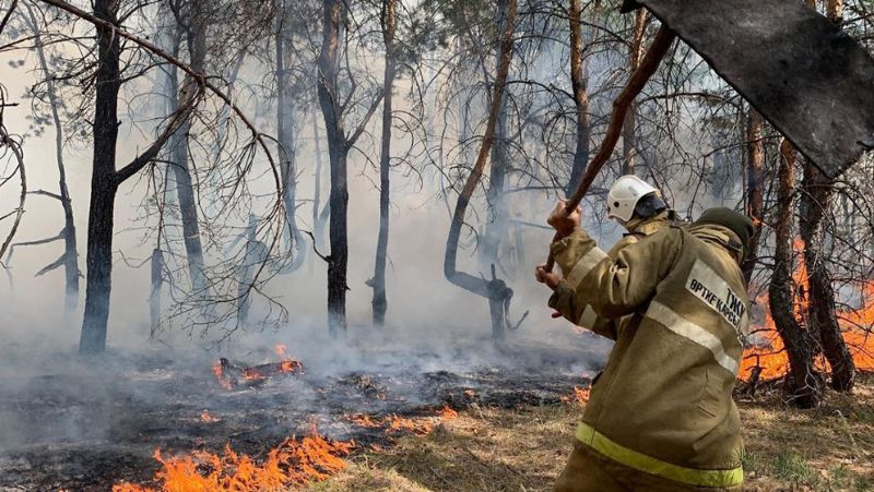 В Костанайской области продолжается борьба с пожарами – комиссия подсчитывает ущерб