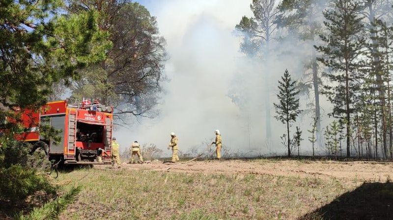 Пожар в Абайской области: площадь горения леса уже составляет 3500 га