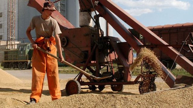 Рекордный урожай казахстанского зерна не могут экспортировать за рубеж
