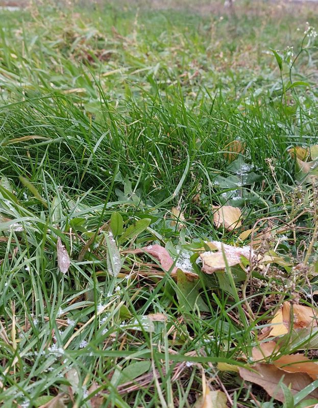 Астанаға қар жауды