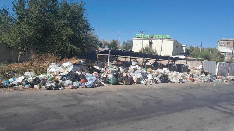 Тонут в мусоре: жители Шымкента жалуются на неприятный запах 