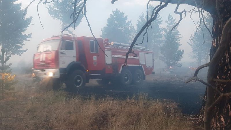 пожар в природном парке Семей Орманы