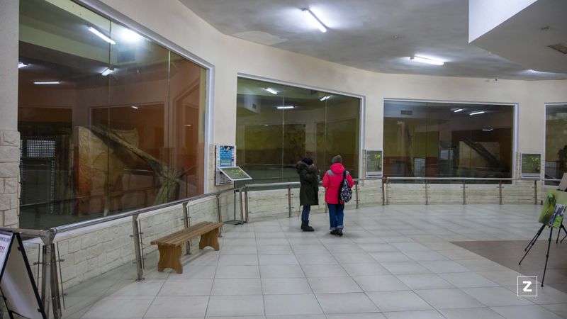 Животные, Алматы