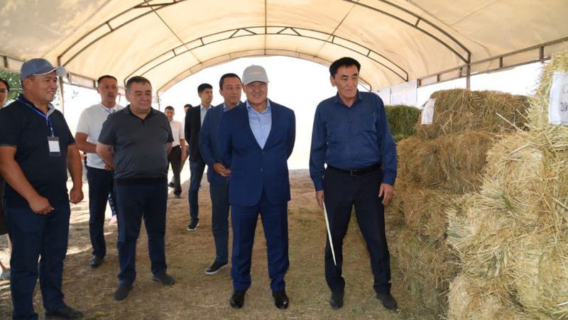 В Туркестанской области завершается уборочная кампания