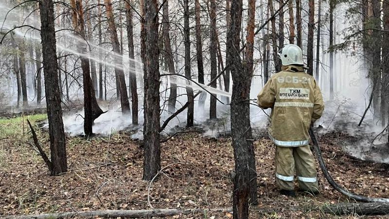 Уже 10 вертолетов задействовали в тушении крупного лесного пожара в Абайской области