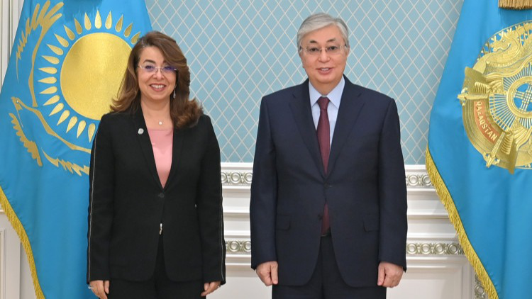 Касым-Жомарт Токаев президент, встреча, Акорда