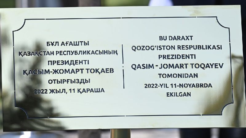 президент