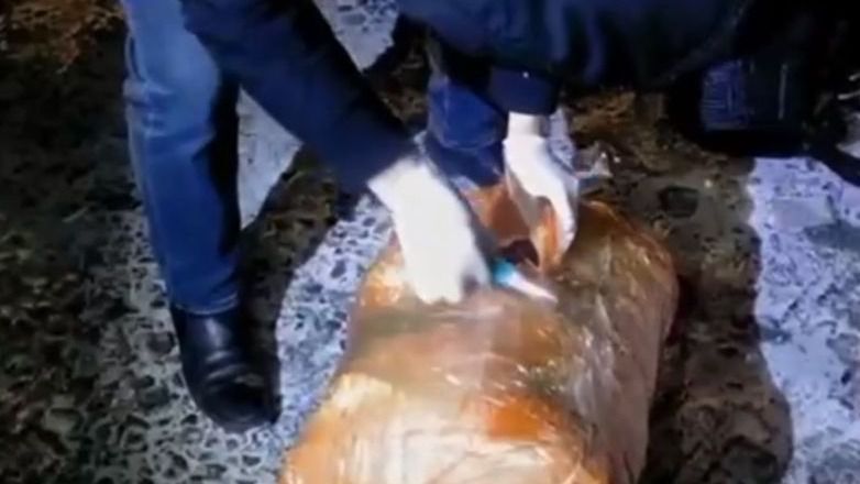 Алматы облысының тұрғынынан аса ірі мөлшерде есірткі заты тәркіленді Әлеуметтік желі