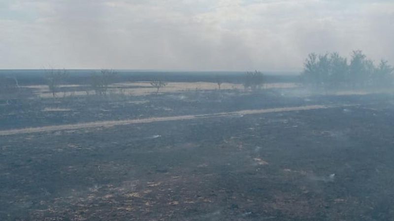 БҚО-да дауыл салдарынан дала өрті өршіп, ақтөбелік өрт сөндірушілер көмекке аттанды Төтенше жағдай