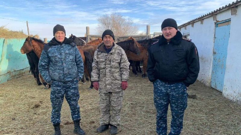 Жылқы Ұрланған жылқылар табылды