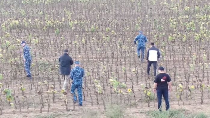 Более 800 килограмм наркотиков обнаружили среди подсолнухов в области Абай