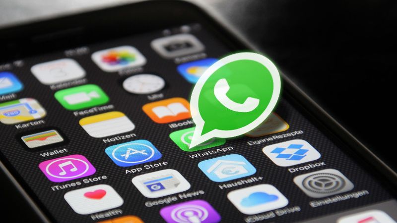 WhatsApp, связь со службой поддержки