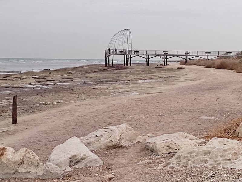 Жители Актау бьют тревогу: уровень моря упал на 10 см ниже исторического минимума
