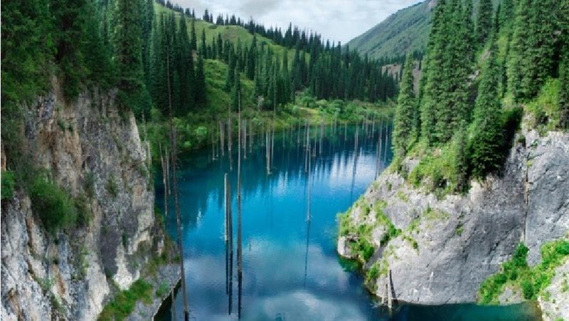 Каинды озеро, березы, природа, вандалы