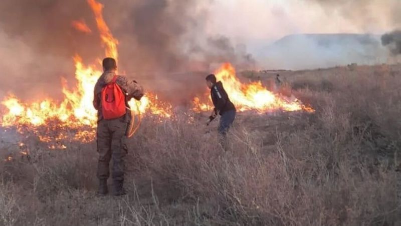 Загорелся лес в Восточно-Казахстанской области