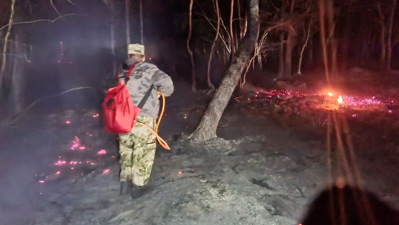 Около 200 огнеборцев тушат лесной пожар в Зерендинском районе Акмолинской области
