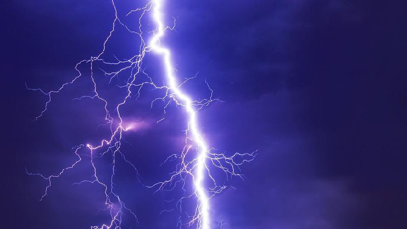 Пастух в Актюбинской области ударила молния
