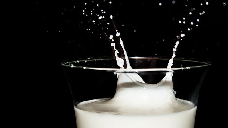 Молочные заводы в Казахстане могут закрыться