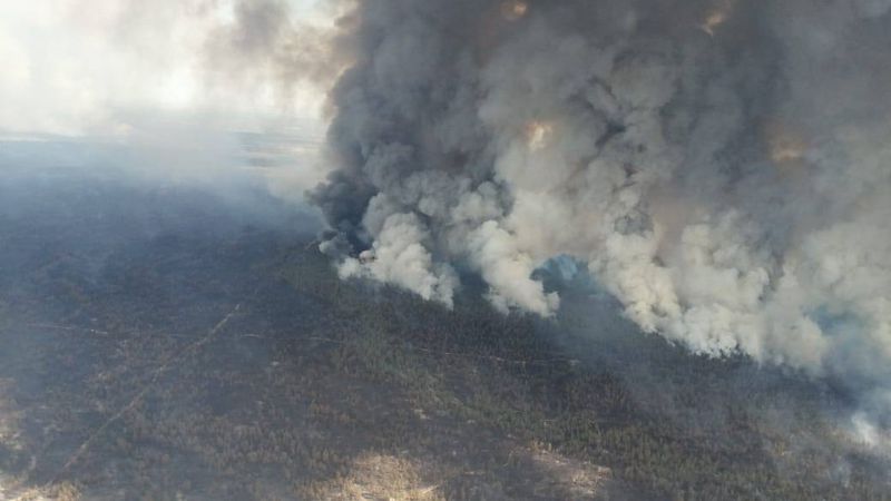 Названа предварительная причина крупного пожара в Абайской области
