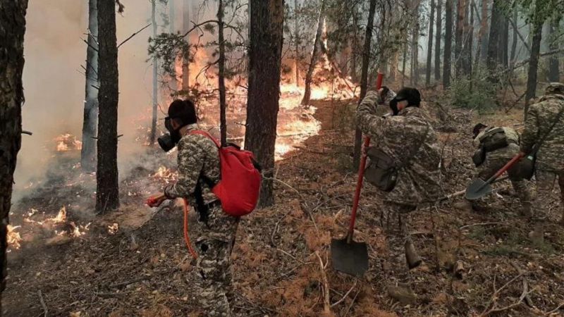 Казахстан лес пожар МЭПР Абайская область Нысанбаев поджог