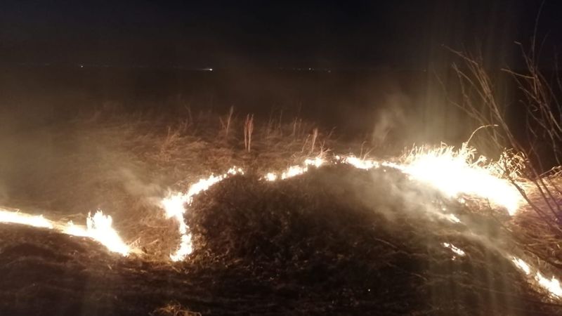 пожар степь