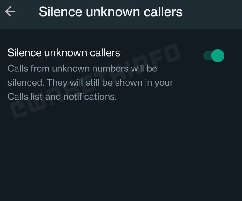 WhatsApp представил новую функцию для звонков