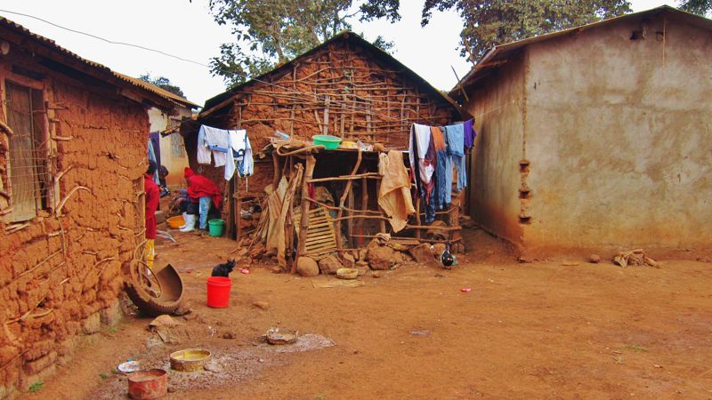 В ВОЗ подтвердили 9 случаев заражения лихорадкой Марбург в Экваториальной Гвинее