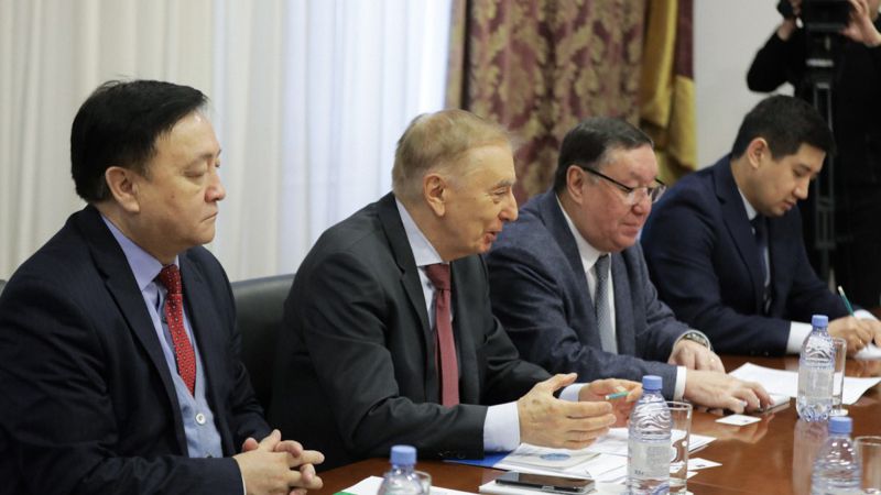 Казахстан и Совет Европы обсудили сотрудничество по вопросам защиты прав человека