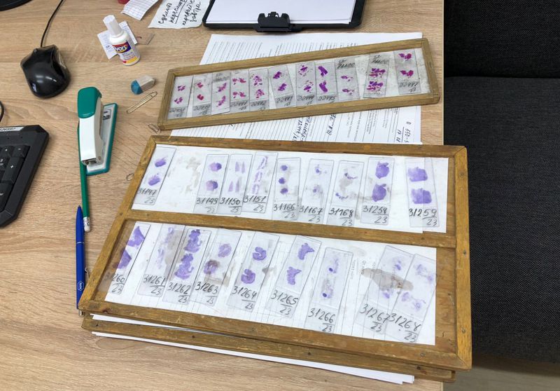 Почти 550 вскрытий за полгода: в каких случаях умершие попадают в главный морг Алматы 