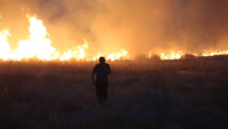 степь пожар Карагандинская область