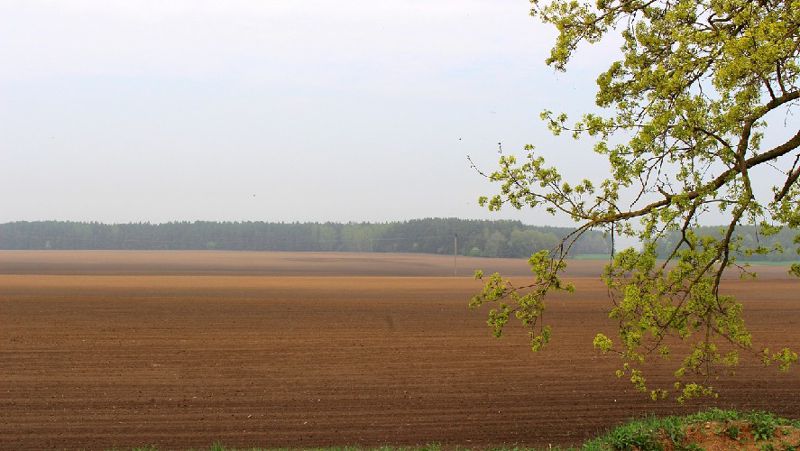 посевная кредит, фермеры, МСХ РК