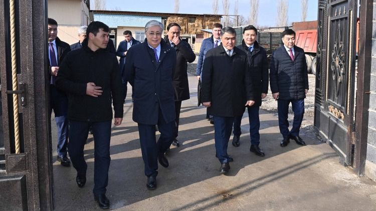 Президент жеке қосалқы шаруашылығы бар ауыл тұрғынының үйіне барды Жұмыс сапары