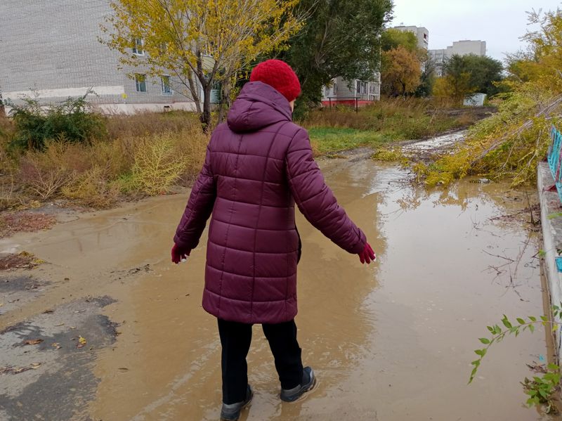 благоустройство Семея
