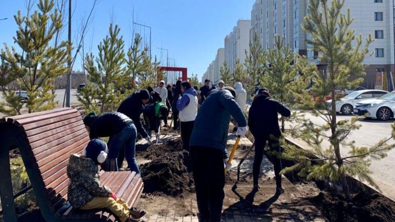 Миллион деревьев и кустарников высадят в текущем году в Астане