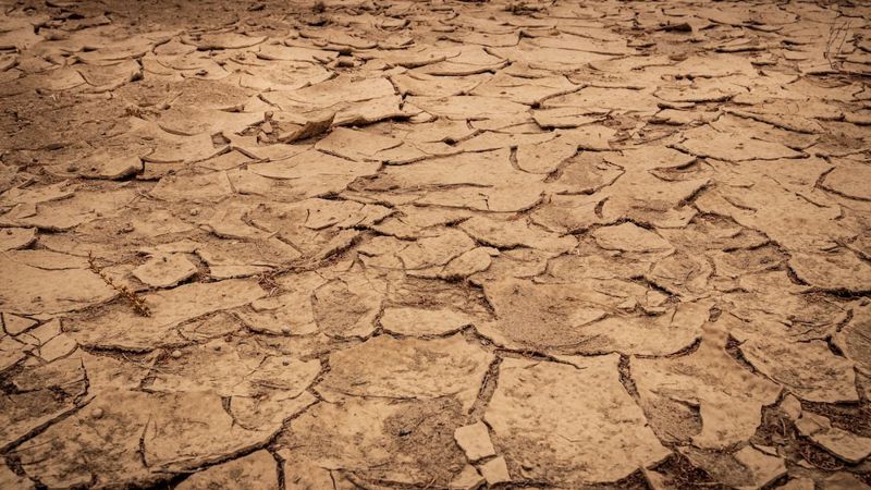 Засуха ожидается в пяти областях Казахстана