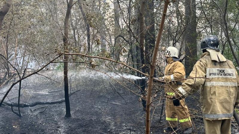 Площадь лесного пожара в Абайской области увеличилась до 30 тыс. га