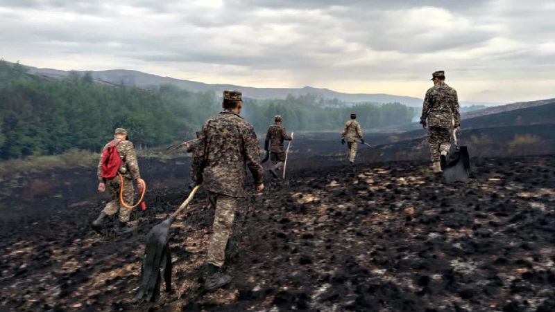 Карагандинская область пожар степь