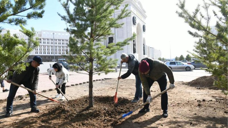 Сажают деревья Субботник в Нур-Султане