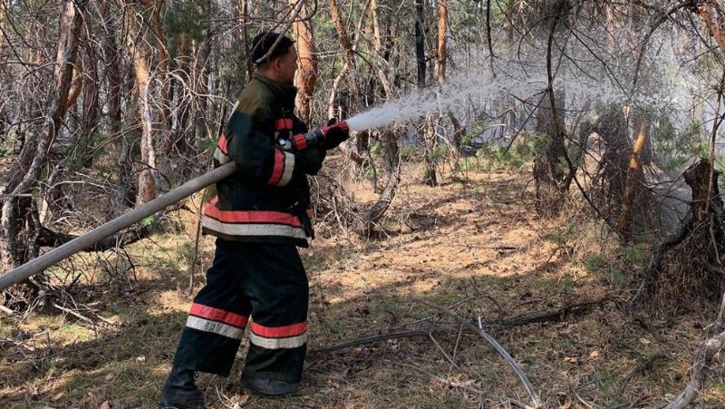 В Костанайской области продолжается борьба с пожарами – комиссия подсчитывает ущерб