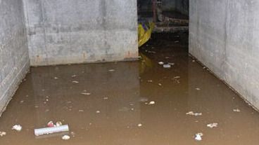 Сточными водами затопило дома в пригороде Усть-Каменогорска 