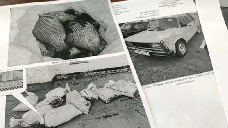 Фотографии машины и рыбы Задержание браконьеров