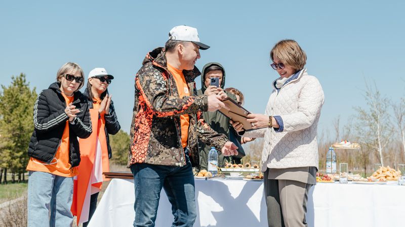 Аллея возможностей в розовых лепестках