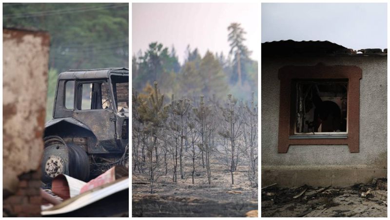 Появились свежие фото с места пожаров в Костанайской области