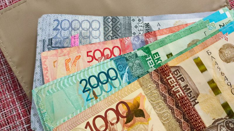 деньги в кошельке Черту бедности будут определять по-новому в Казахстане