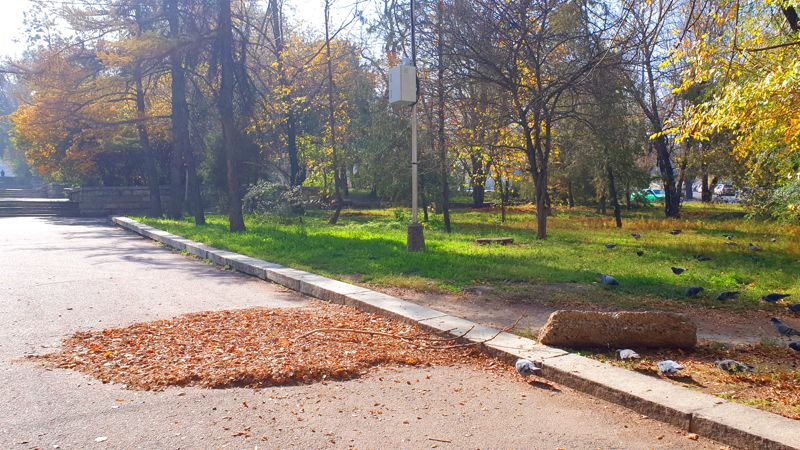 уборка листвы в Алматы